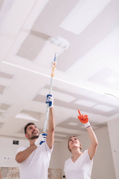 Best Ceiling Drywall Installation  in Stanley, WI